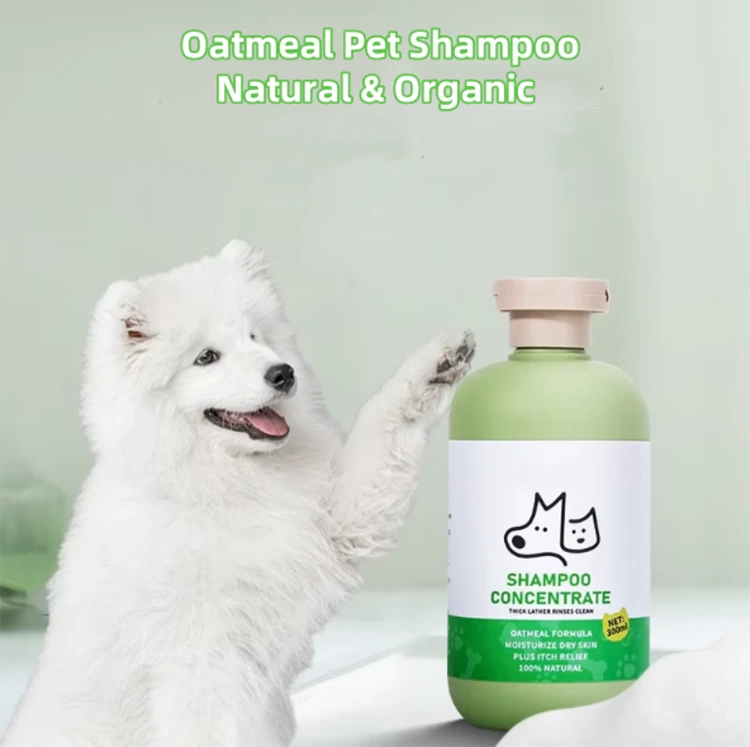 Bakit Dapat Mong Pumili ng Oatmeal Pet Shampoo para sa Iyong Mga Mabalahibong Kaibigan